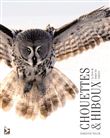 Chouettes et hiboux