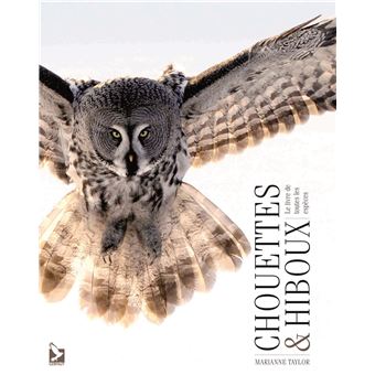 Chouettes et hiboux