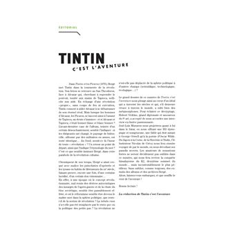 Tintin - C'est l'aventure 9