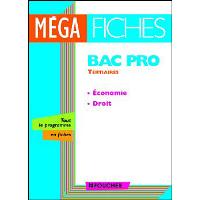 Mega Fiches économie, droit Bac Pro