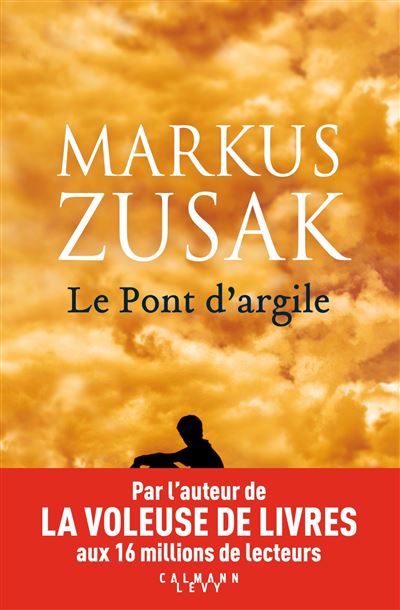 La voleuse de livres - broché - Markus Zusak, Marie-France Girod - Achat  Livre