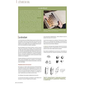 Les sols forestiers