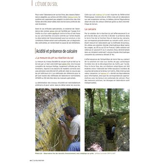 Les sols forestiers