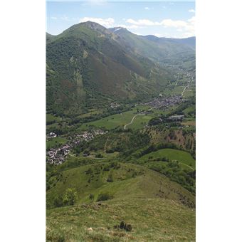 Découvrir la flore des Pyrénées