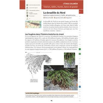 Découvrir la flore des Pyrénées