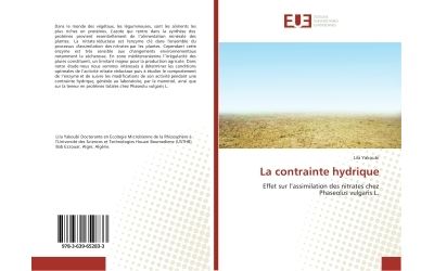 La contrainte hydrique - effet sur l'assimilation des nitrat