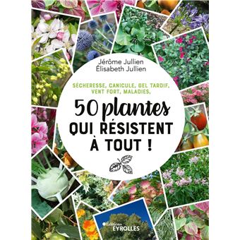 Sécheresse, canicule, gel tardif, vent fort, maladies, 50 plantes qui résistent à tout !