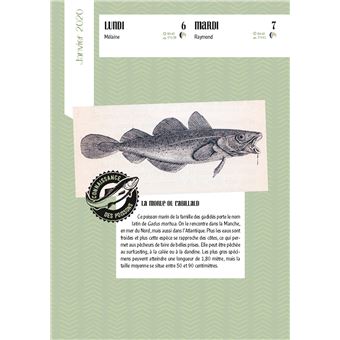Almanach du pêcheur eau douce & mer 2020