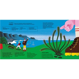 Plantes carnivores !