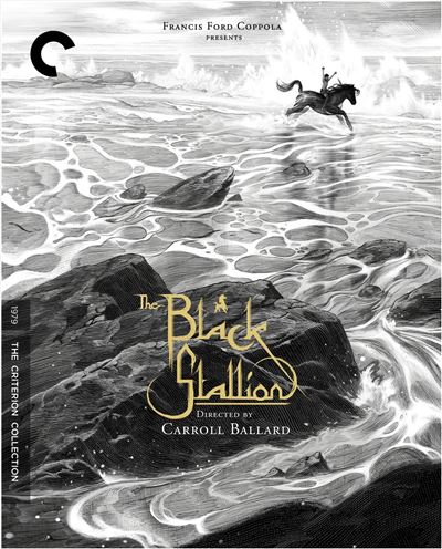 L'Étalon noir en Blu-ray