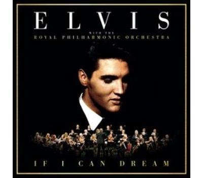 If I can dream Bridge over troubled water