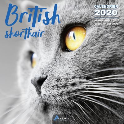 Calendrier British shortair (2020)