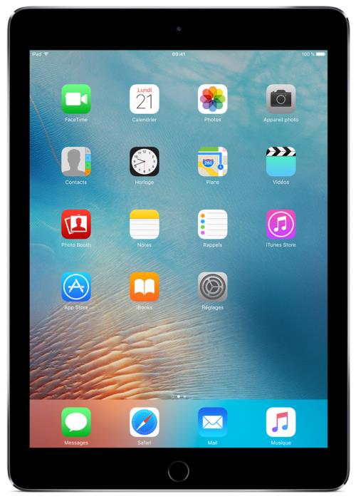 Apple iPad Mini 2 Retina - 32 Go - WIFI - 7.9 - Gris Sidéral -  Reconditionné Comme Neuf - Cdiscount Informatique