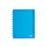 Atoma Schrift Pvc A4+Inserts+5 Pockets R
