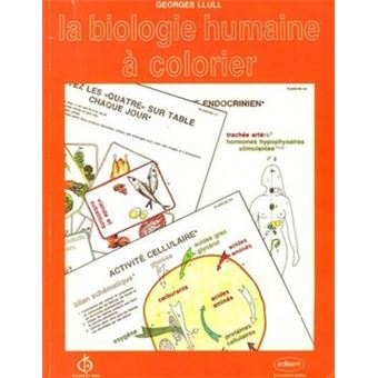 La biologie humaine a colorier
