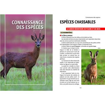 L'examen du permis de chasser 2021