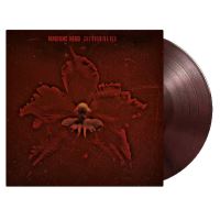 激レア Machine Head Burn My Eyes レコード LP Burn my eyes