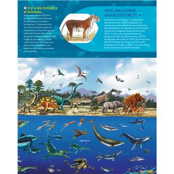 Les animaux en danger