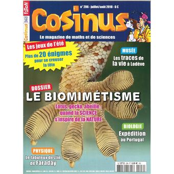 Les jeux de mathématiques de l'été