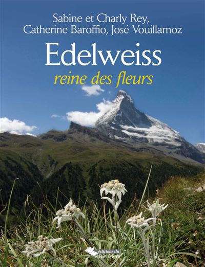 Edelweiss, la reine des fleurs