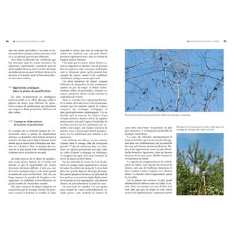 Stratégie QD (2e édition)