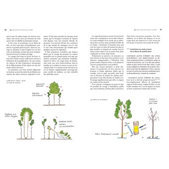 Stratégie QD (2e édition)