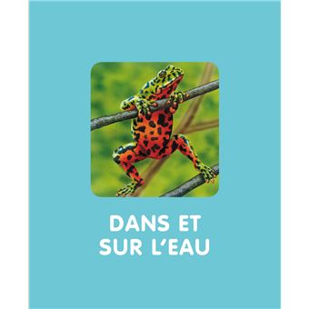 L'imagerie des petites bêtes (interactive)