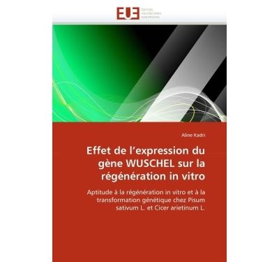 Effet de l'expression du gène WUSCHEL sur la régénération in vitro