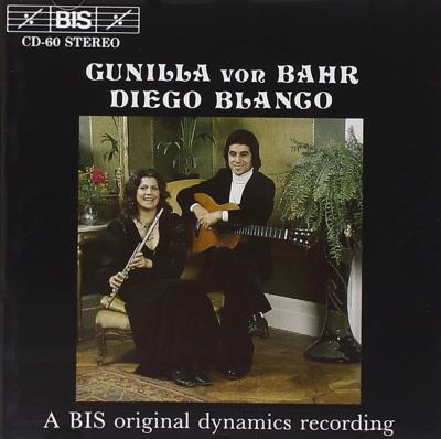 Flute guitar and strings