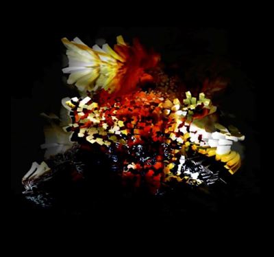 THE BULLNOSE STEP EP