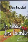 Un hibiscus dans l'amandier