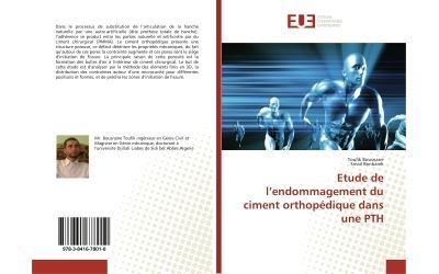 Etude de l'endommagement du ciment orthopédique dans une PTH