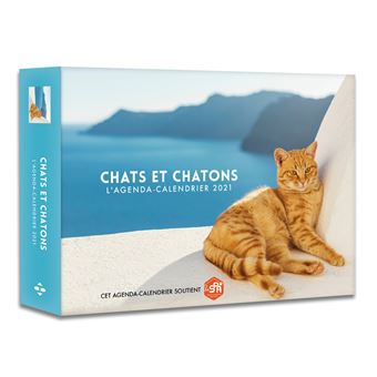 L Agenda Calendrier Chats Et Chatons 21 Relie Collectif Achat Livre Fnac