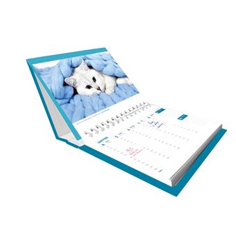 L Agenda Calendrier Chats Et Chatons 21 Relie Collectif Achat Livre Fnac