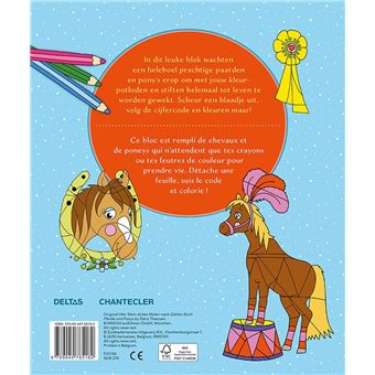 Manege Coloring Fun - Coloriages codés