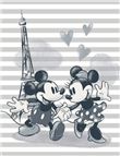 Cadre Canvas Mickey & Minnie Paris