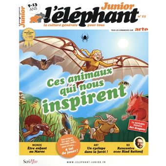 Éléphant junior