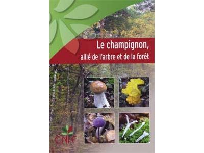 Le champignon, allié de l'arbre et de la forêt - Gilles Pichard - broché