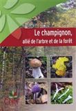Le champignon, allié de l'arbre et de la forêt