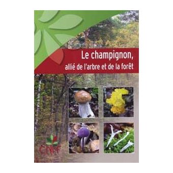 Le champignon, allié de l'arbre et de la forêt