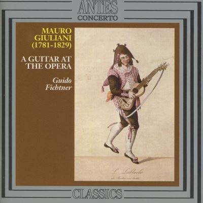A guitar at the opera wp