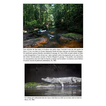 Journal d'expéditions en Amazonie