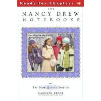 The Snow Queen's Surprise