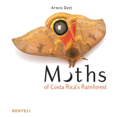 Moths of costa rica s rainforest