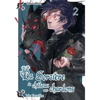 La sorcière du château aux chardons - Tome 2