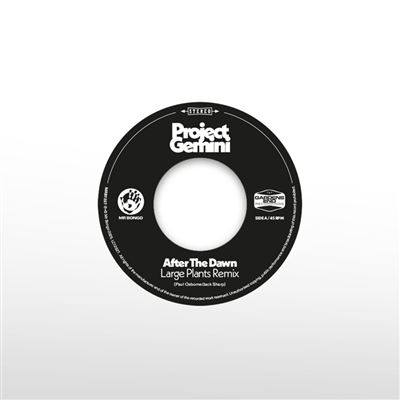 After The Dawn (Large Plants Remix) / Darkness Rising