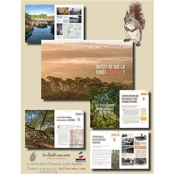 La forêt usagère de la Teste-de-Buch