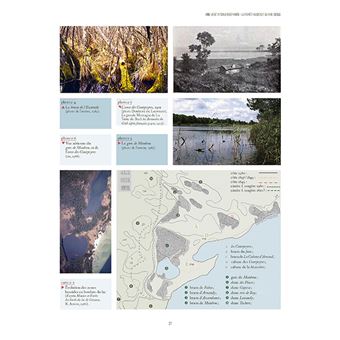 La forêt usagère de la Teste-de-Buch