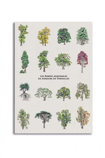 Les arbres admirables du domaine de Versailles