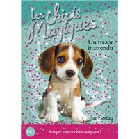 Les chiots magiques - numéro 14 Un trésor inattendu